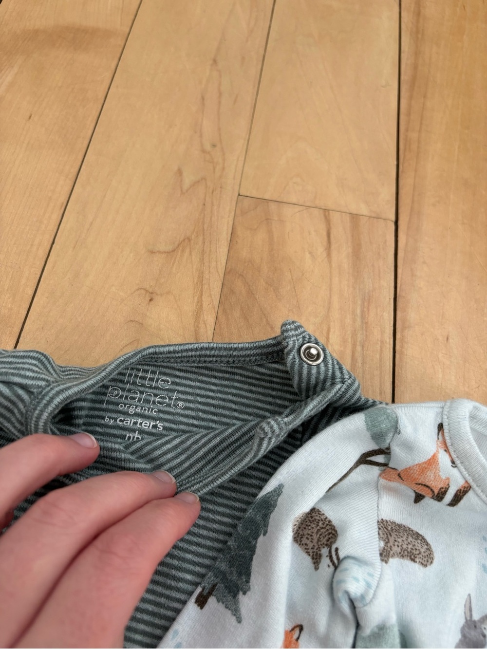 LITTLE PLANET by Carter’s | Long-Sleeve Bodysuits - Picture 3 of 3